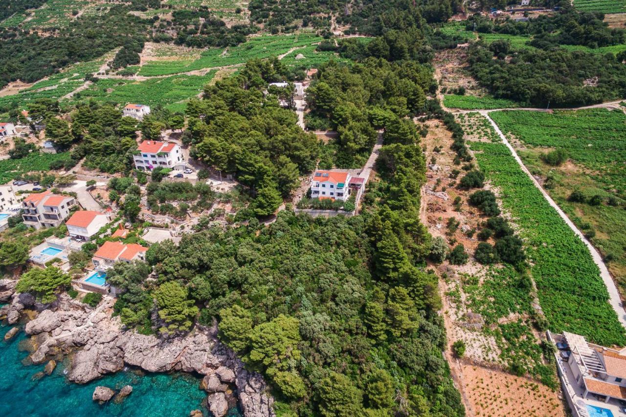 Villa Gloria Potomje Exteriör bild